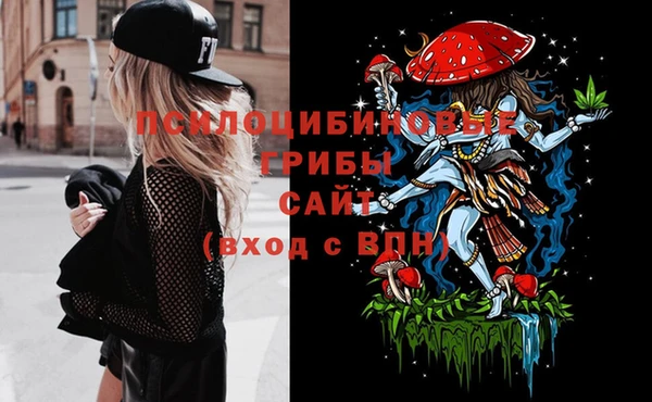 эйфоретик Алзамай