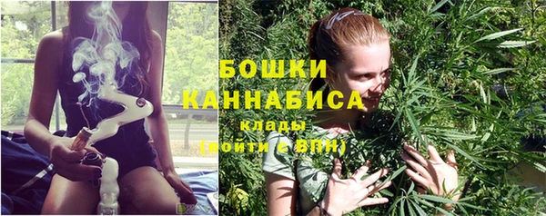 гашик Новозыбков